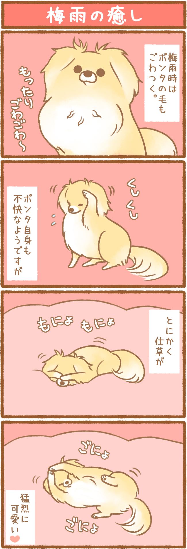 ただの犬好きです。第56話 梅雨の癒し