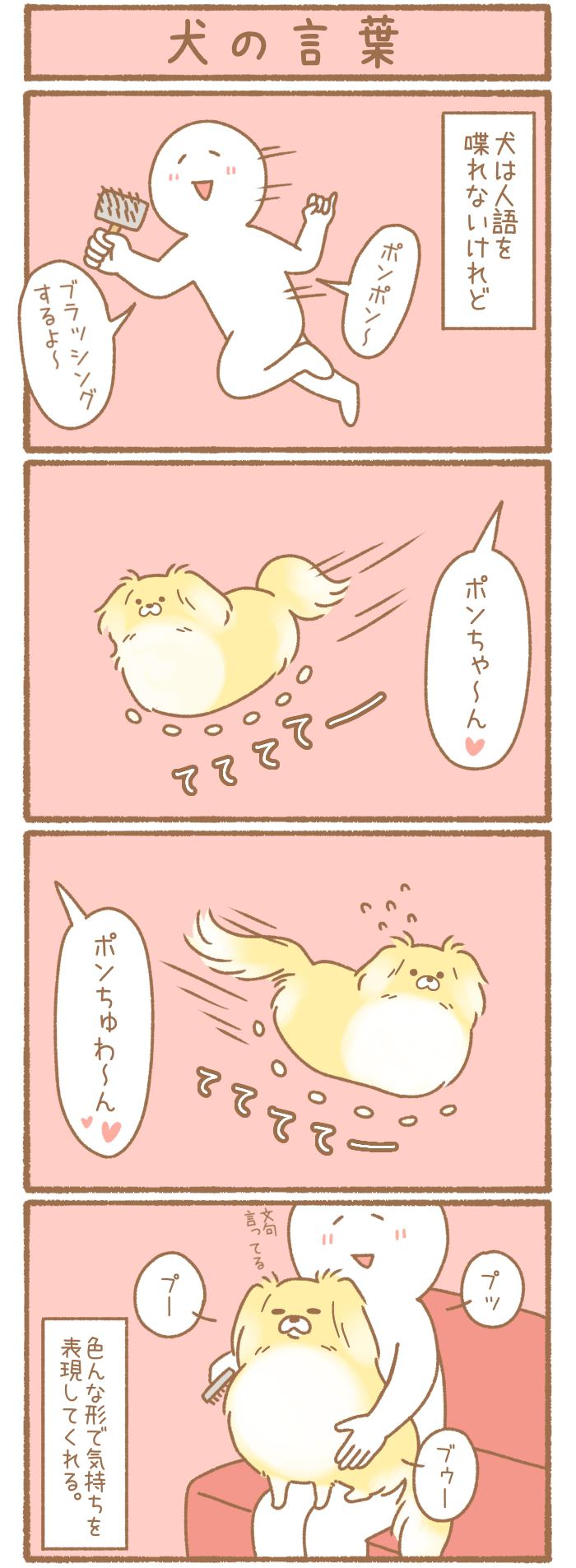 ただの犬好きです。【第152話】