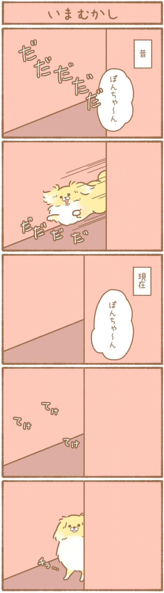 ただの犬好きです。【第149話】