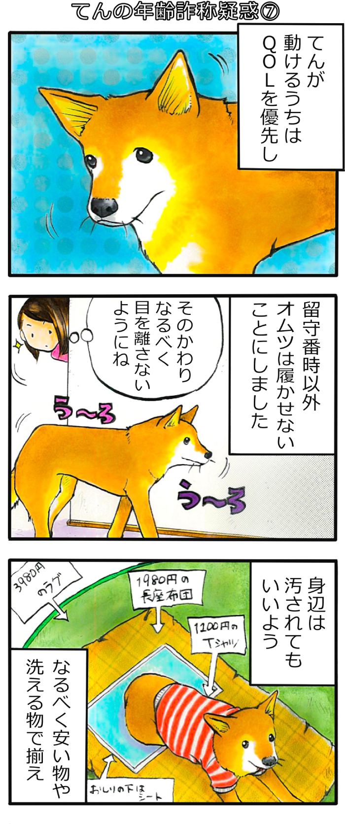 てんてこ、てん。第43話 1枚目