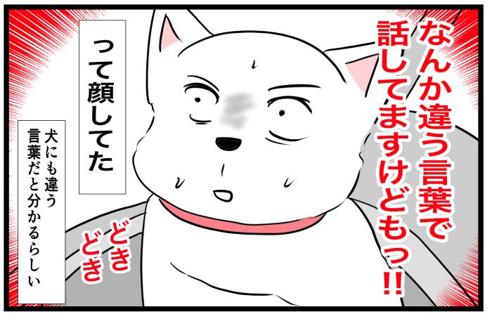 ちーちゃんですけどもっ【第226話】