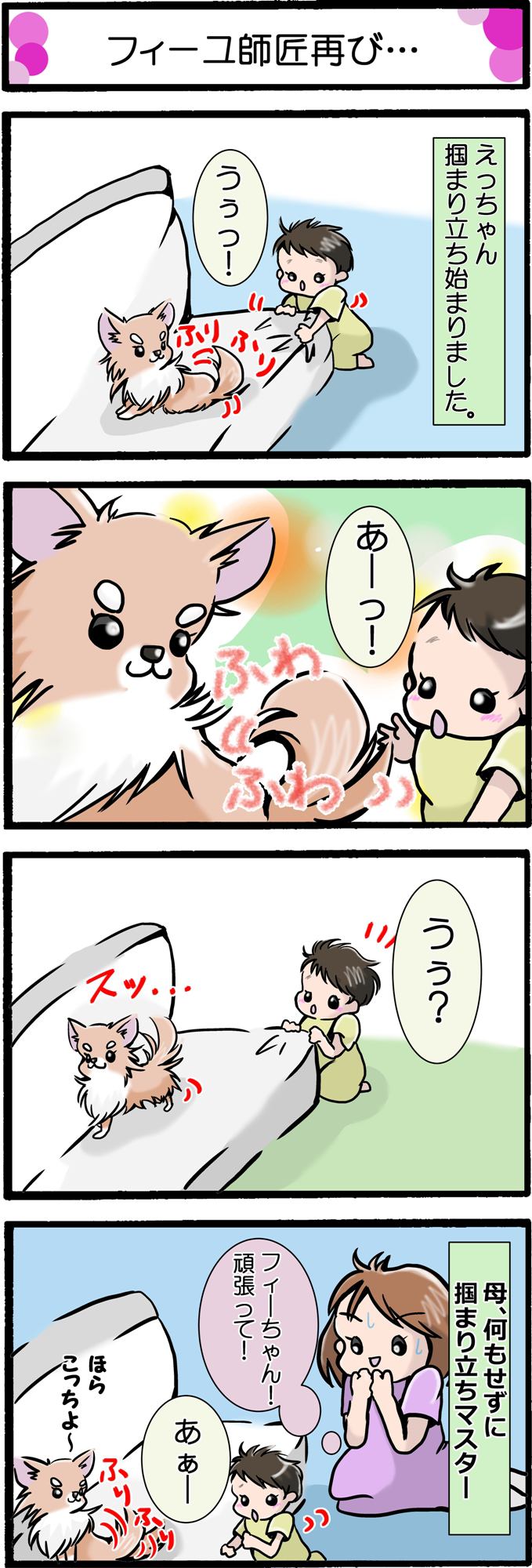 かわうそちわわ。185