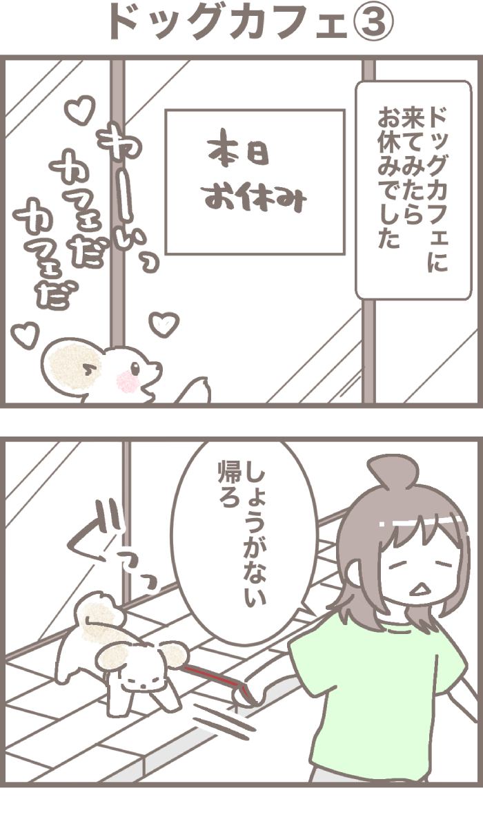 うちの王様にはどうしても抗えない第49話1枚目