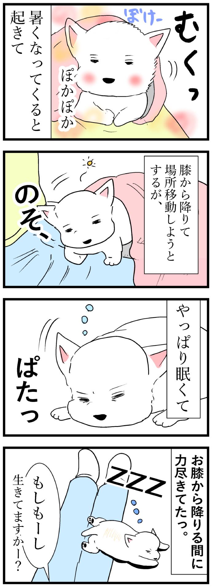 ちーちゃんですけどもっ【第131話】