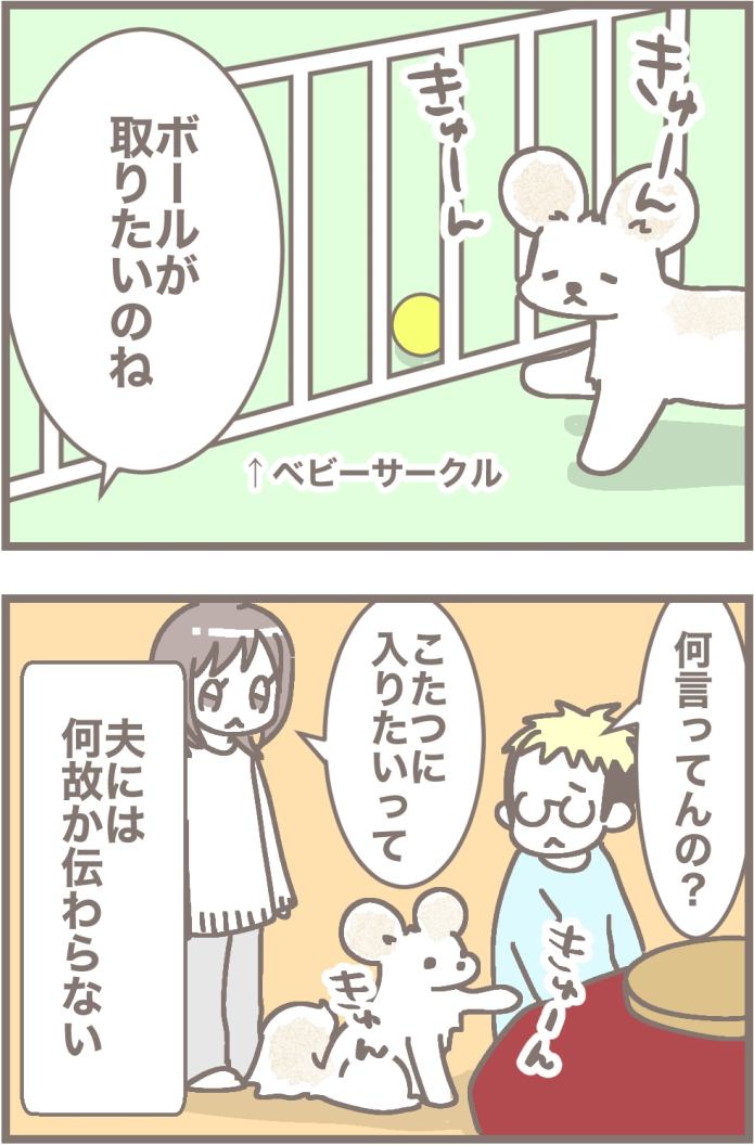 うちの王様にはどうしてもあらがえない第39話2枚目