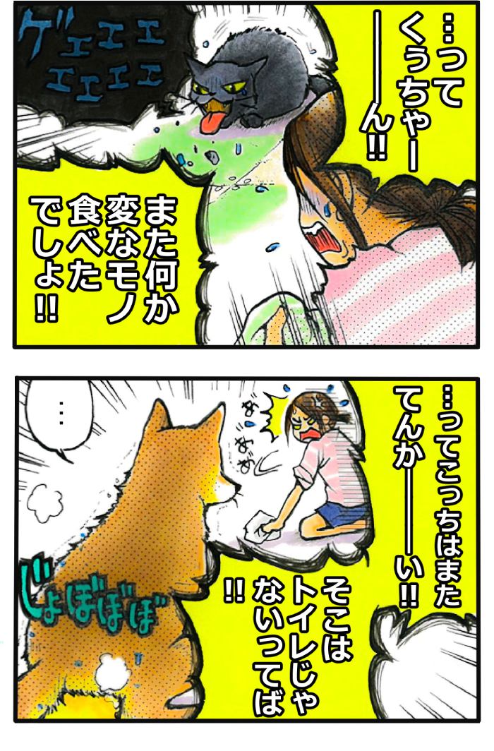 てんてこ、てん。第58話3枚目