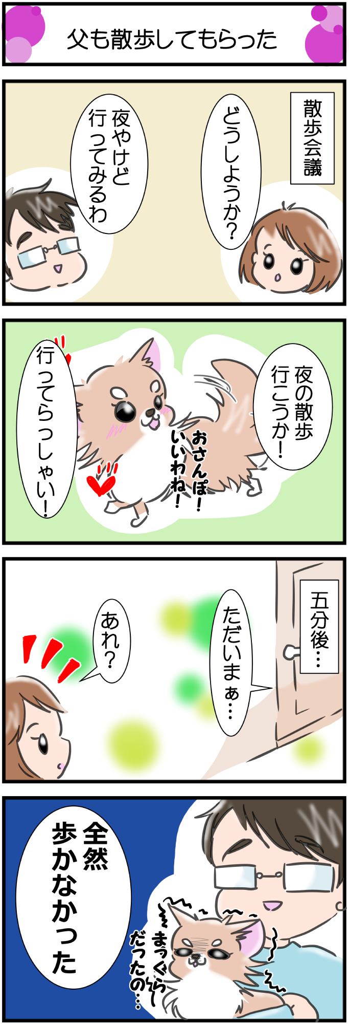 かわうそちわわ。その263