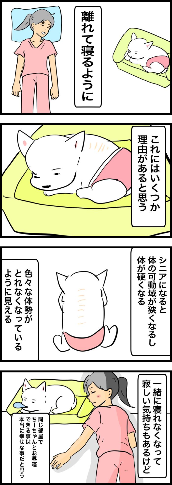 ちーちゃんですけどもっ【第331話】2