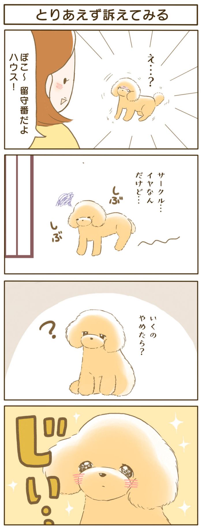 ふわふわぽこ。【第102話】