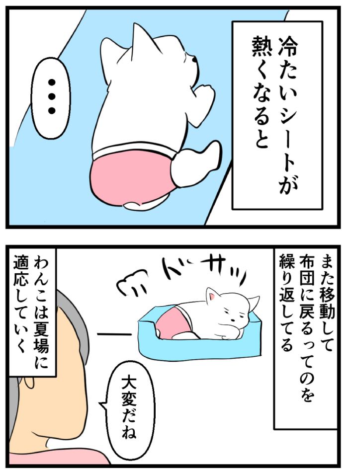 ちーちゃんですけどもっ【第263話】②