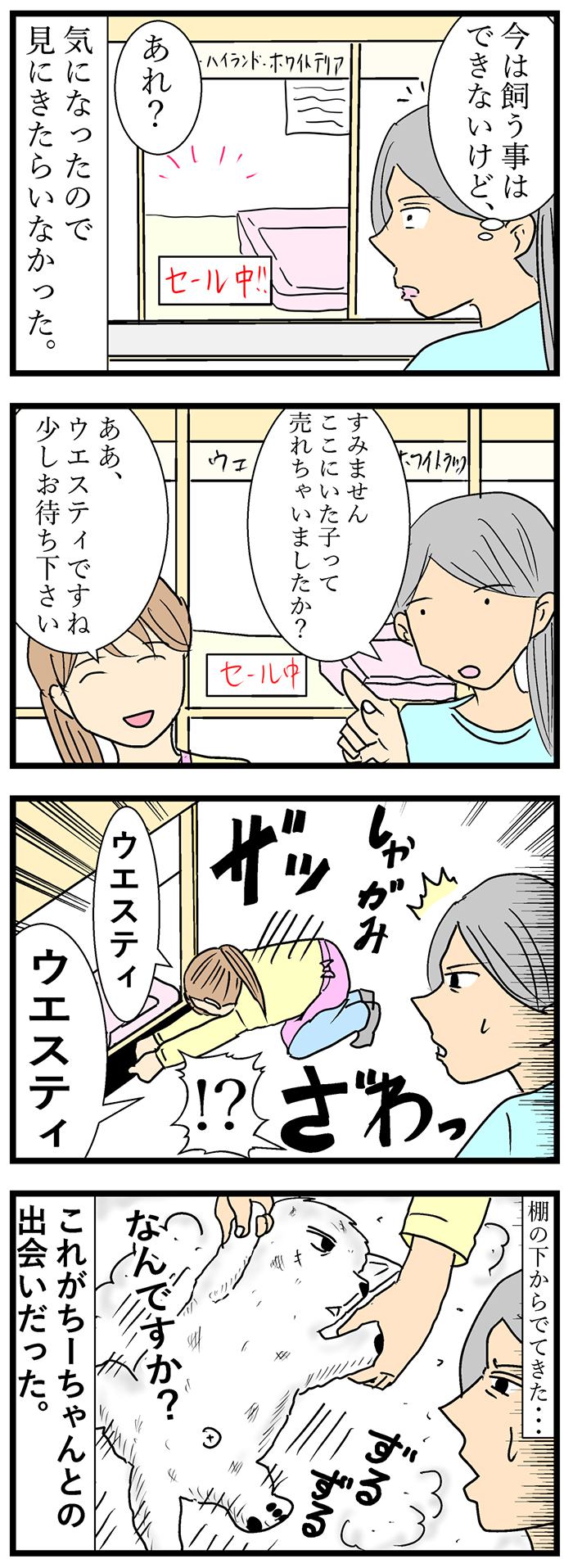 ちーちゃんですけどもっ【第100話】2