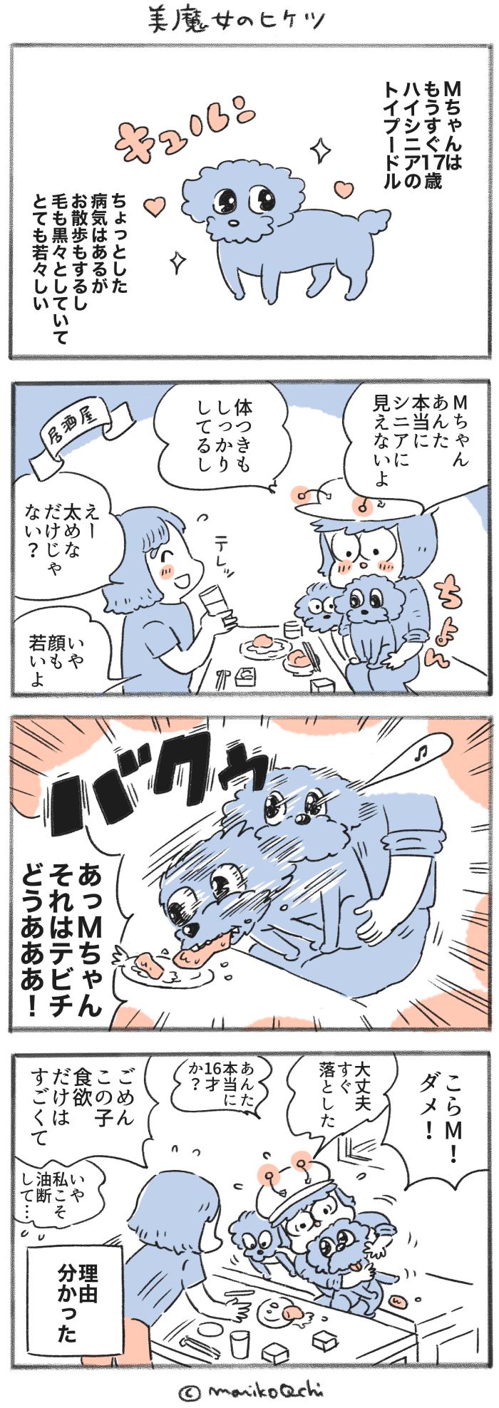 犬と暮らせば【第440話】