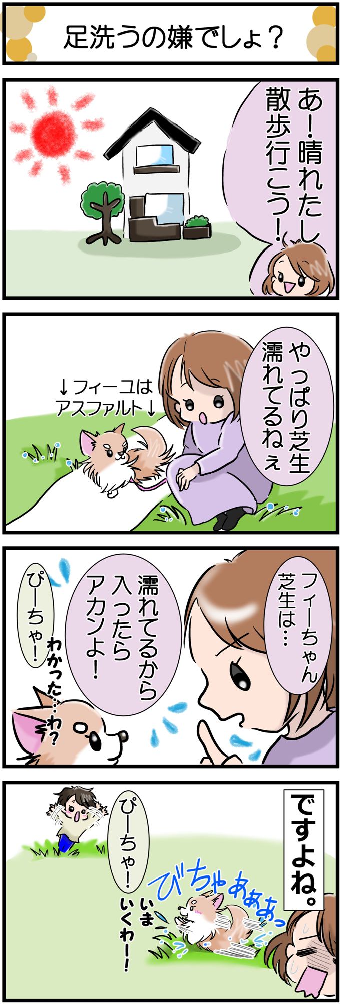 かわうそちわわ。その199