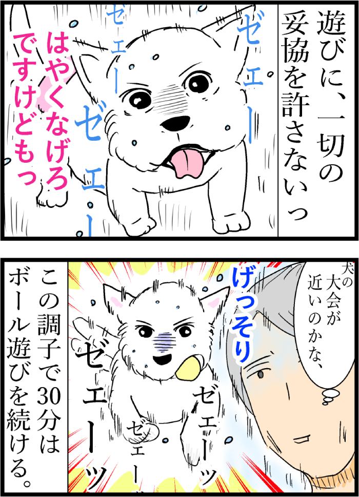 ちーちゃんですけどもっ第91話3枚目