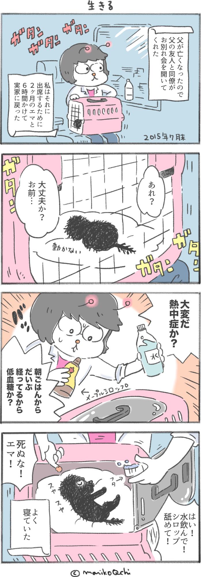 犬と暮らせば第98話