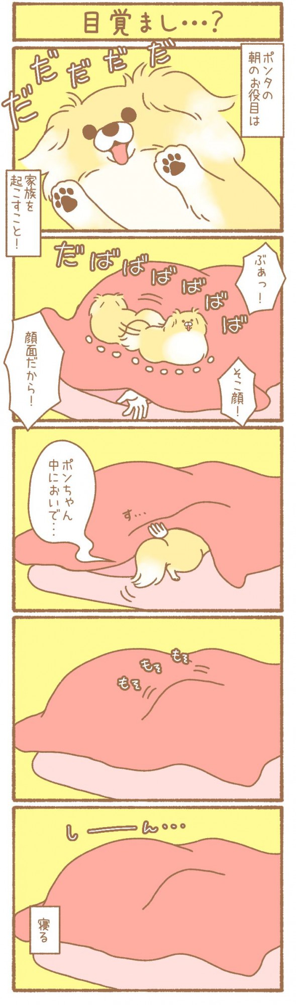 ただの犬好きです。【第142話】