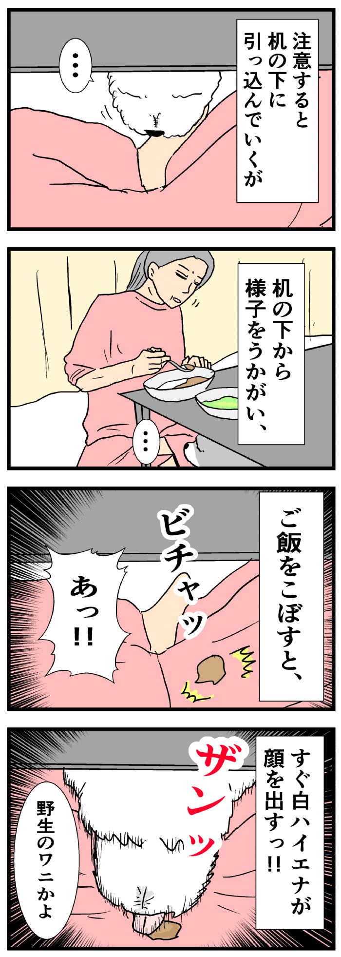 ちーちゃんですけどもっ【第196話】