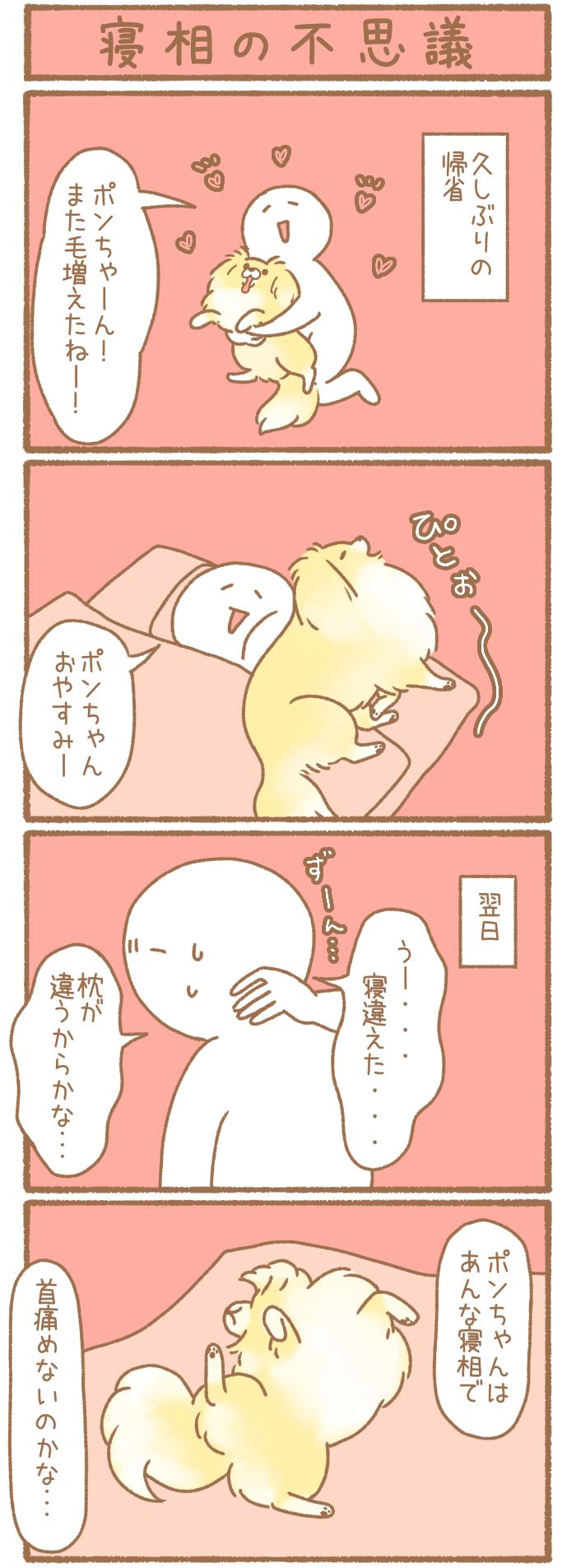 ただの犬好きです。【第158話】