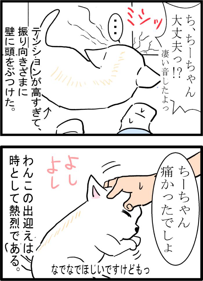 ちーちゃんですけどもっ第65話3枚目