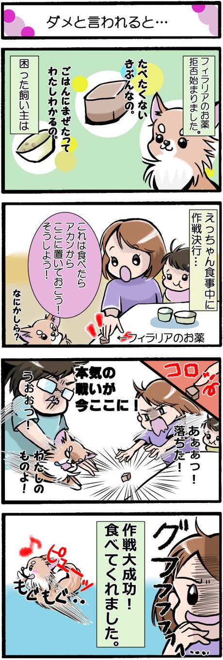 かわうそちわわ。181話