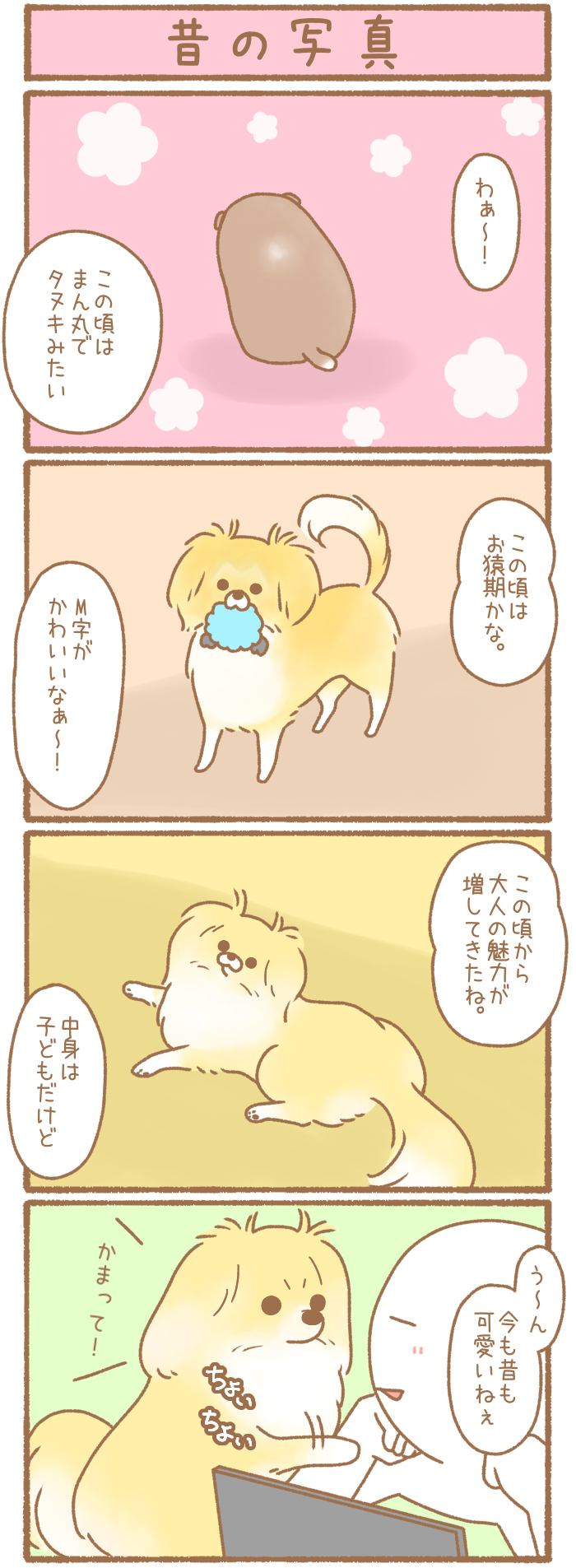 ただの犬好きです。【第146話】