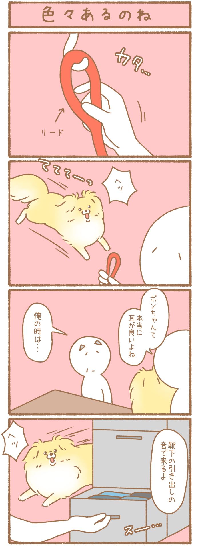 ただの犬好きです。【第256話】