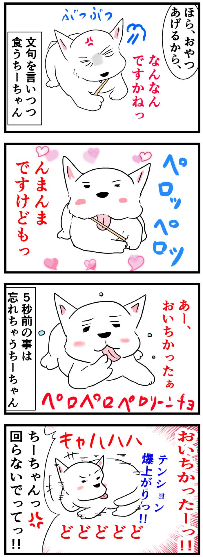 ちーちゃんですけどもっ【第169話】