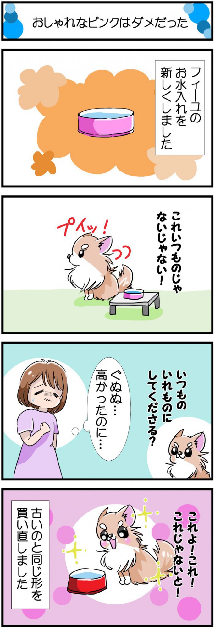 かわうそちわわ。【その504】