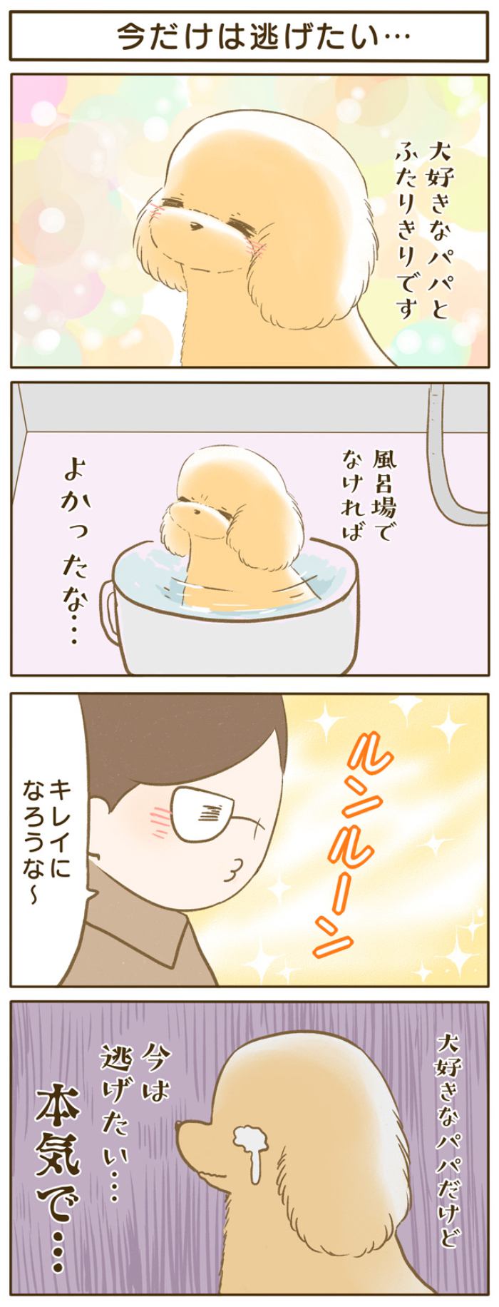 ふわふわぽこ。【第120話】