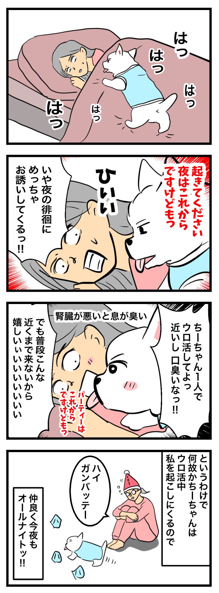 ちーちゃんですけどもっ【第360話】　2