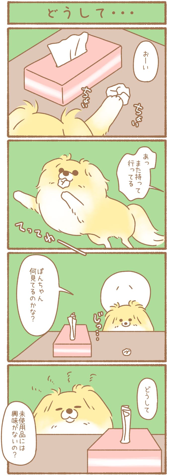 ただの犬好きです。【第255話】