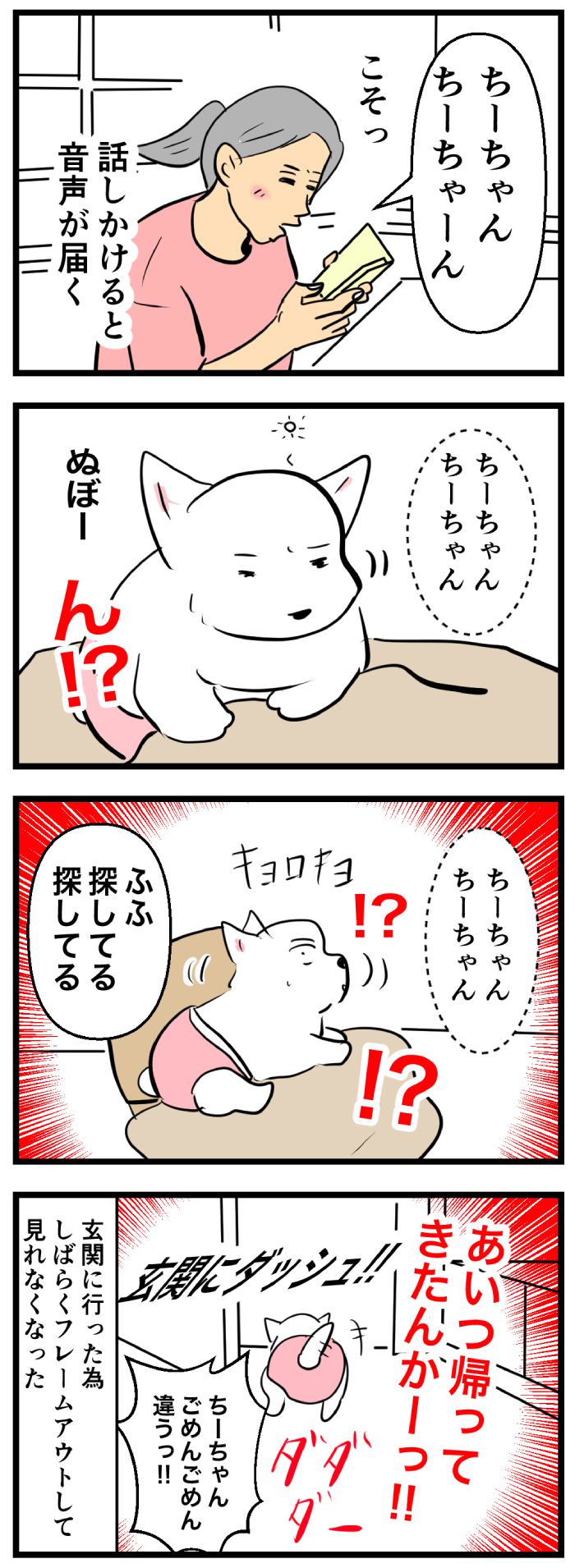 ちーちゃんですけどもっ【第270話】２