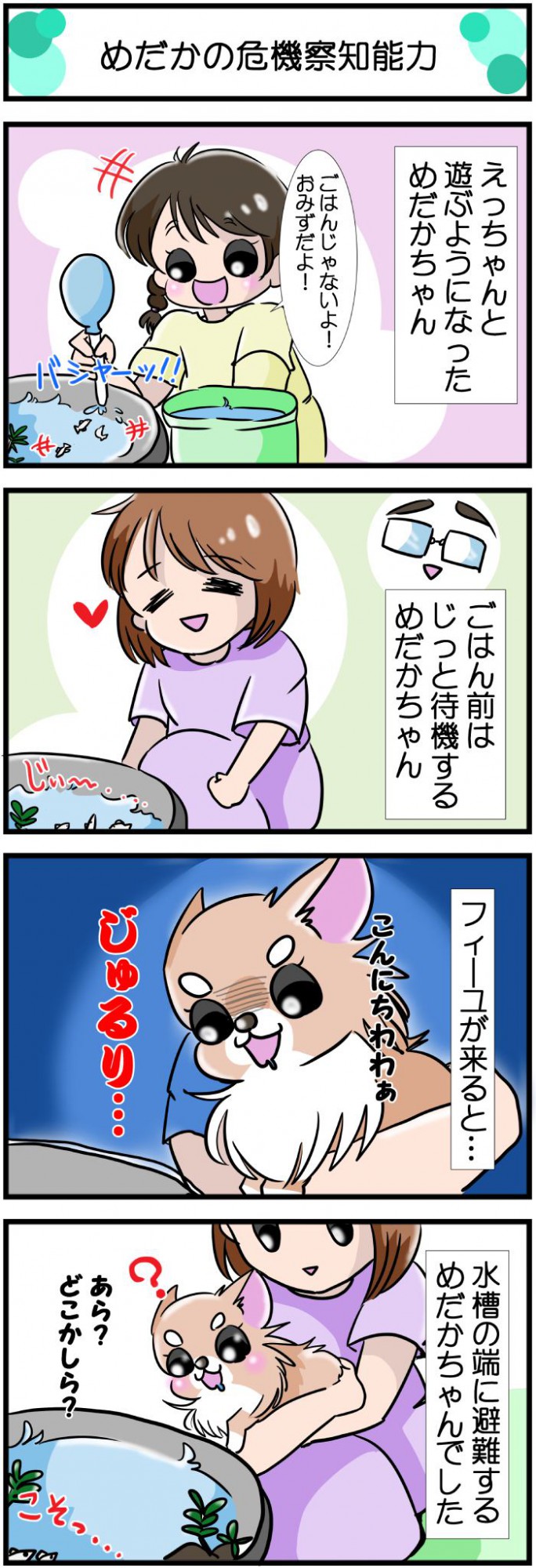 かわうそちわわ。【その503】