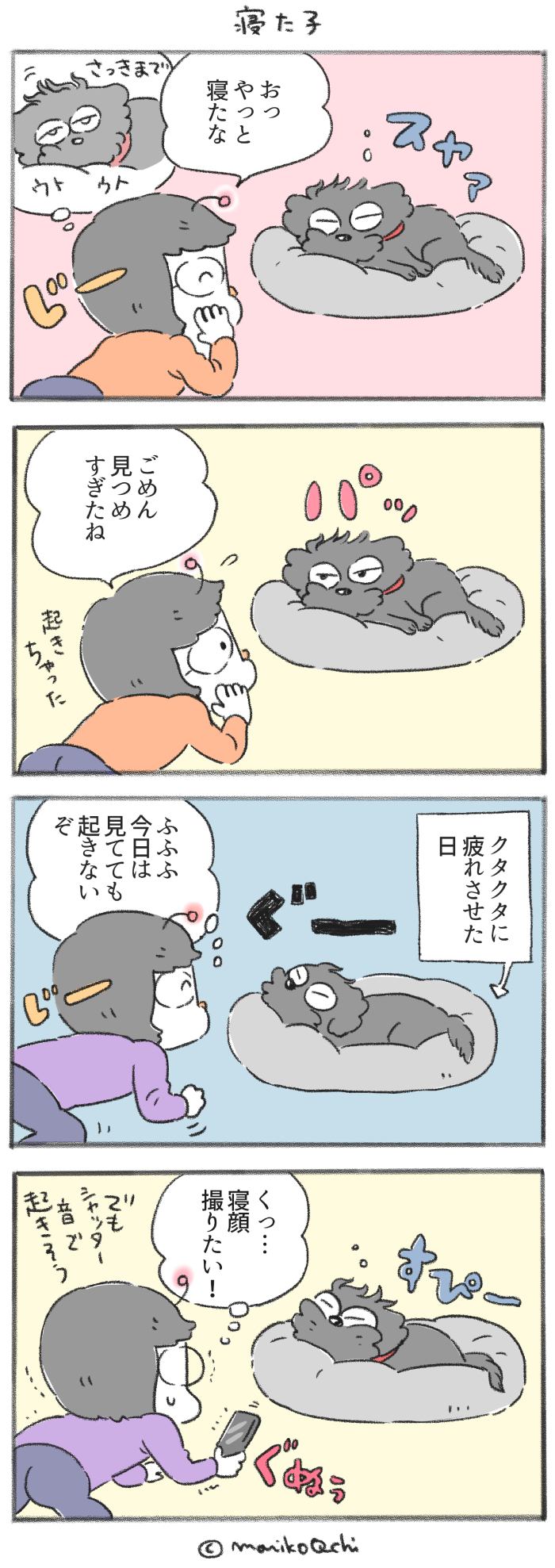 犬と暮らせば【第241話】