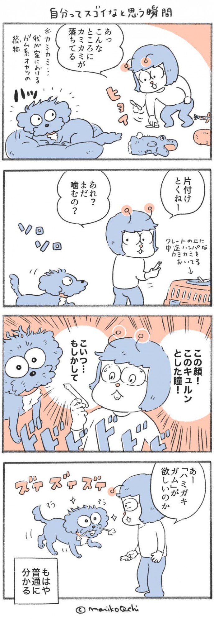 犬と暮らせば【第385話】