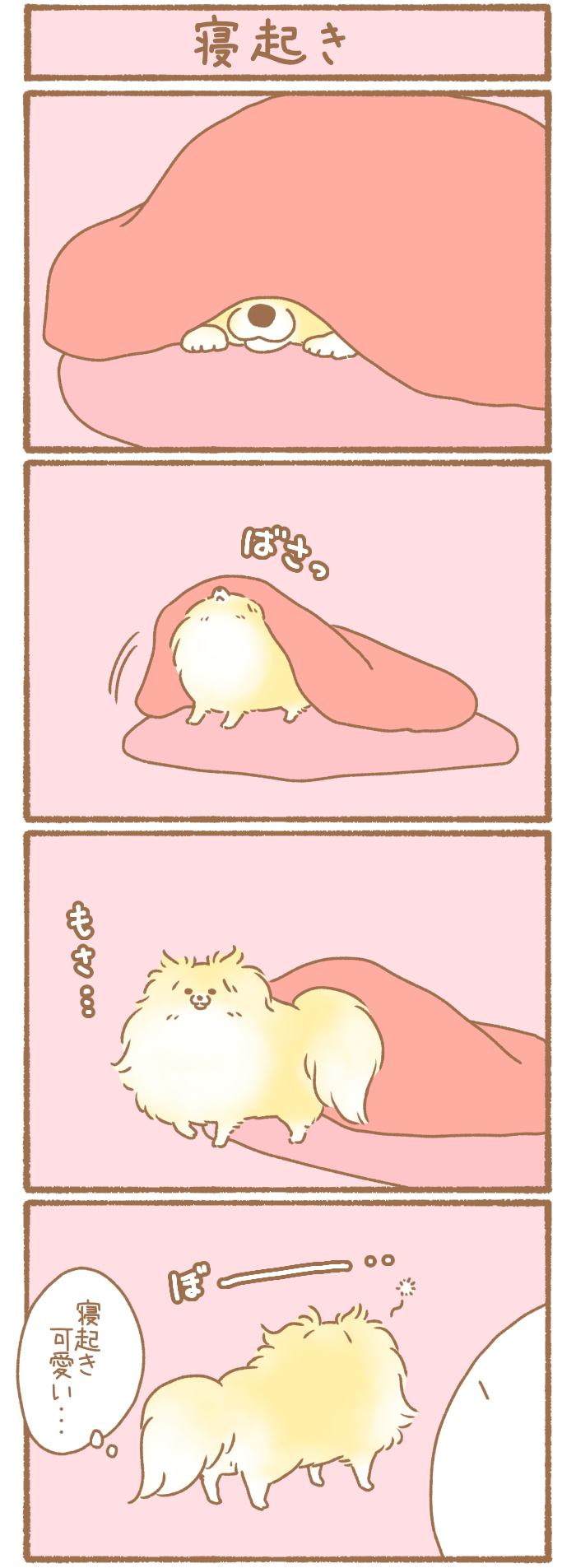 ただの犬好きです。【第338話】