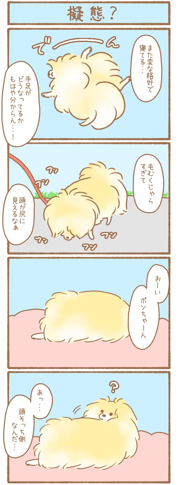 ただの犬好きです。【第263話】