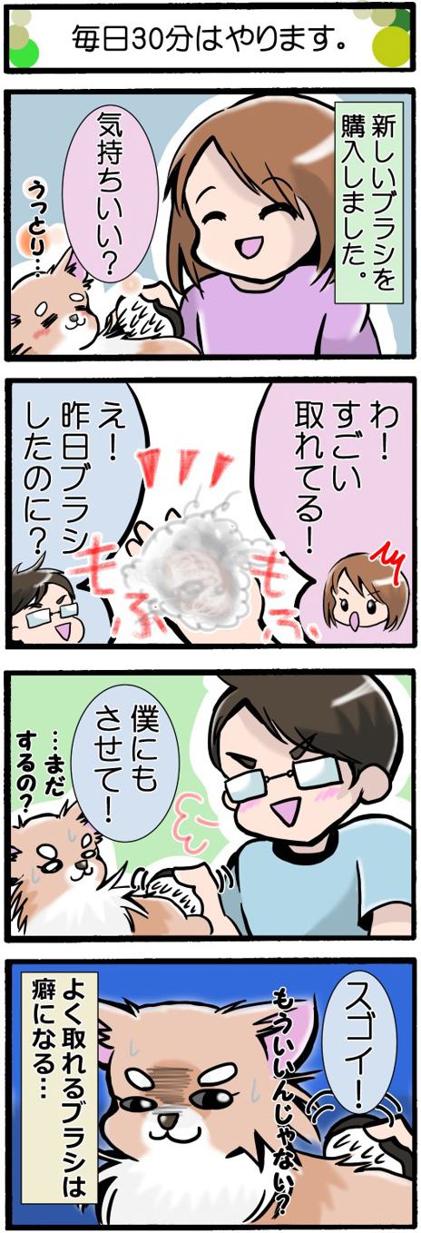 かわうそちわわ。182話