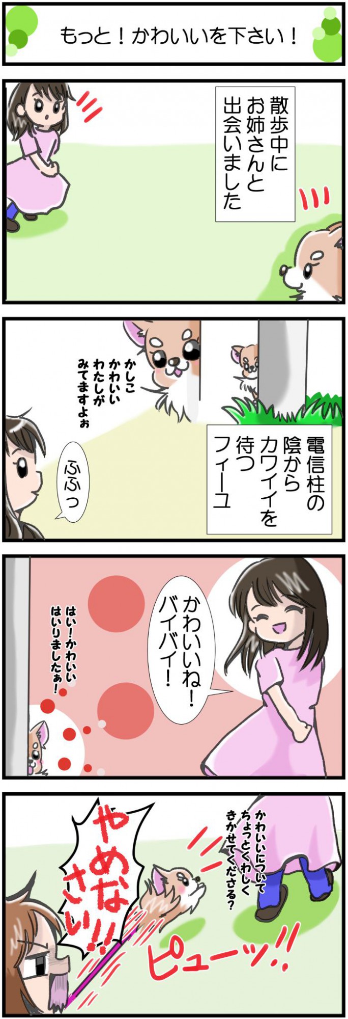 かわうそちわわ。【その371】