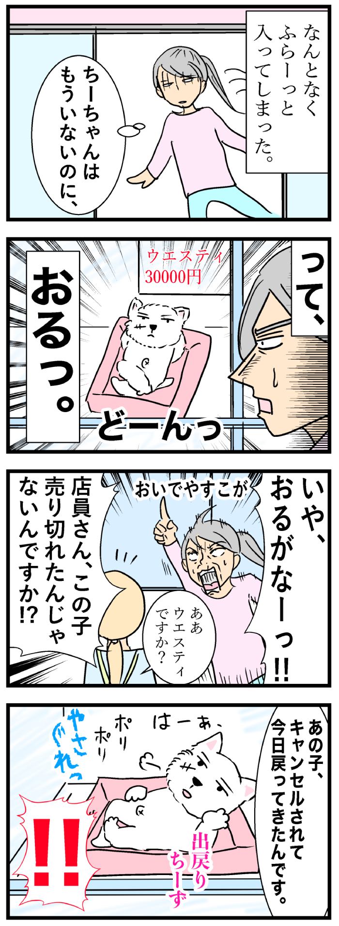 ちーちゃんですけどもっ【第103話】