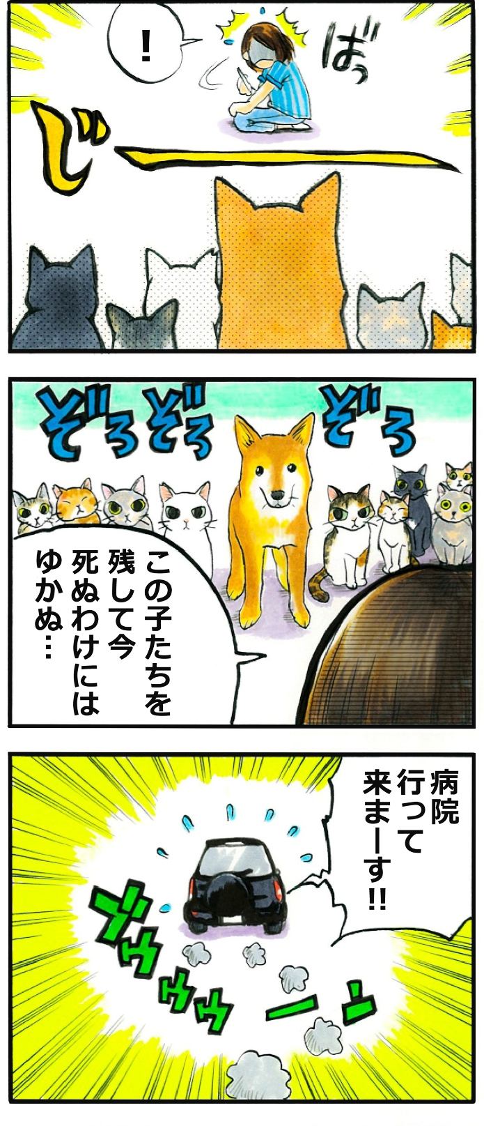 てんてこ、てん。第29話 2枚目