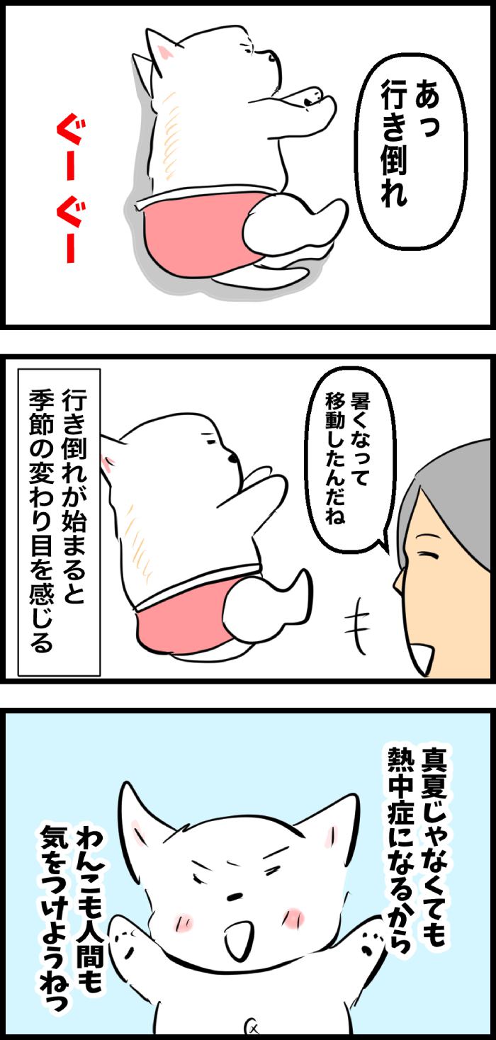 ちーちゃんですけどもっ【第311話】２