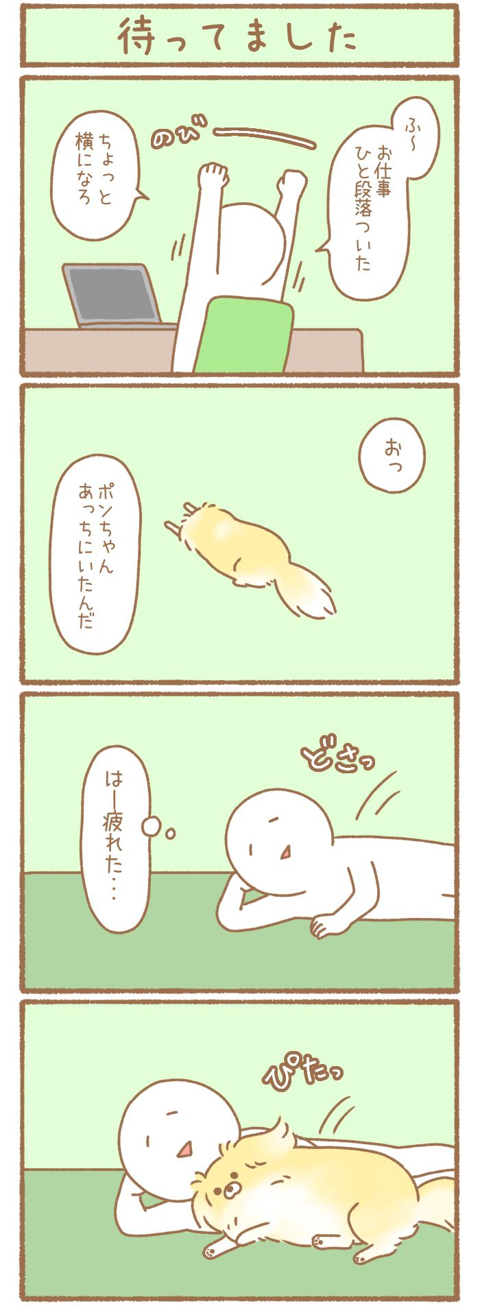 ただの犬好きです。【第229話】