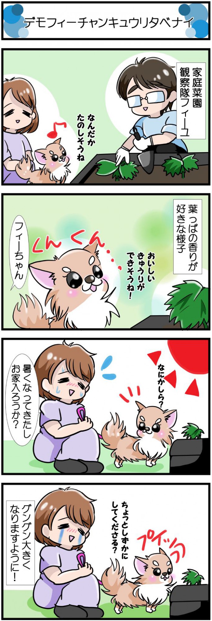 かわうそちわわ。【その474】