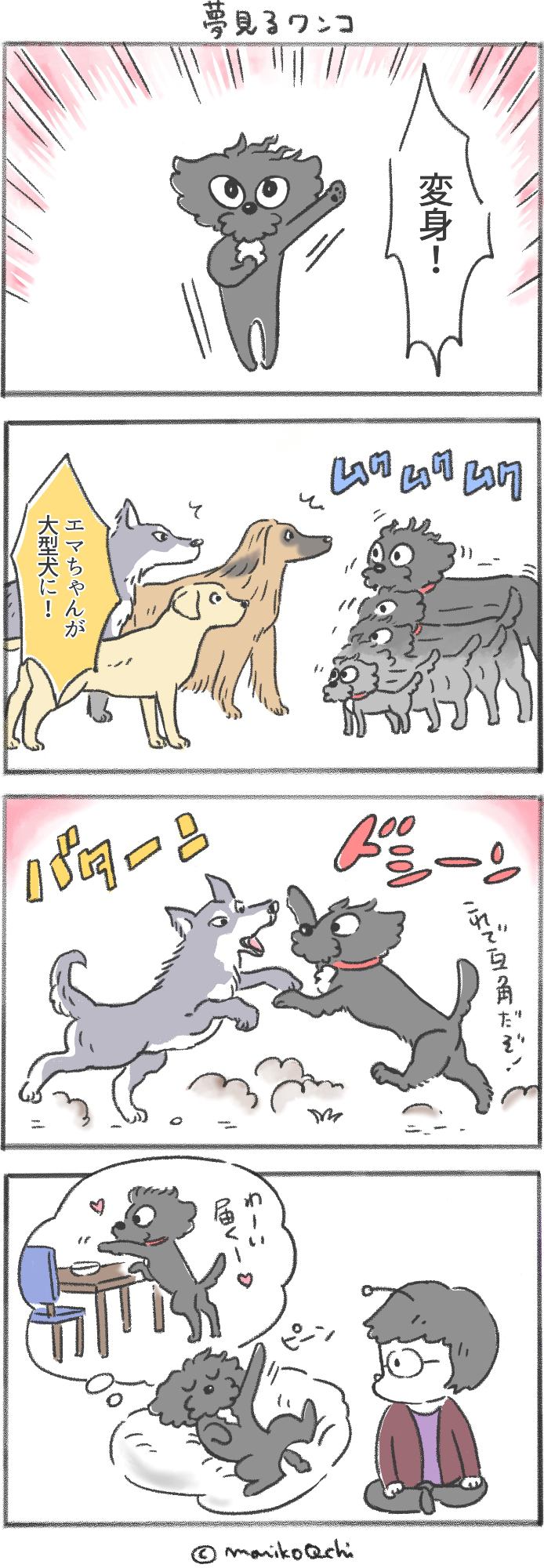 犬と暮らせば第49話