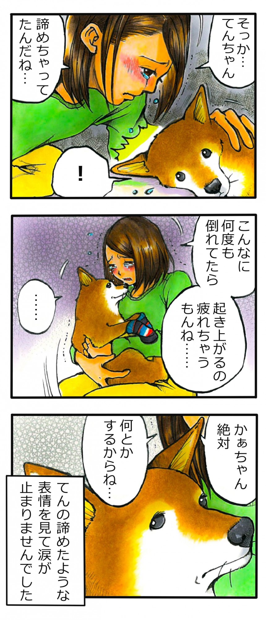 てんてこ、てん。【第68話】3