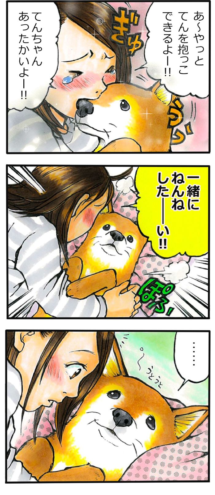 てんてこ、てん。第54話2枚目