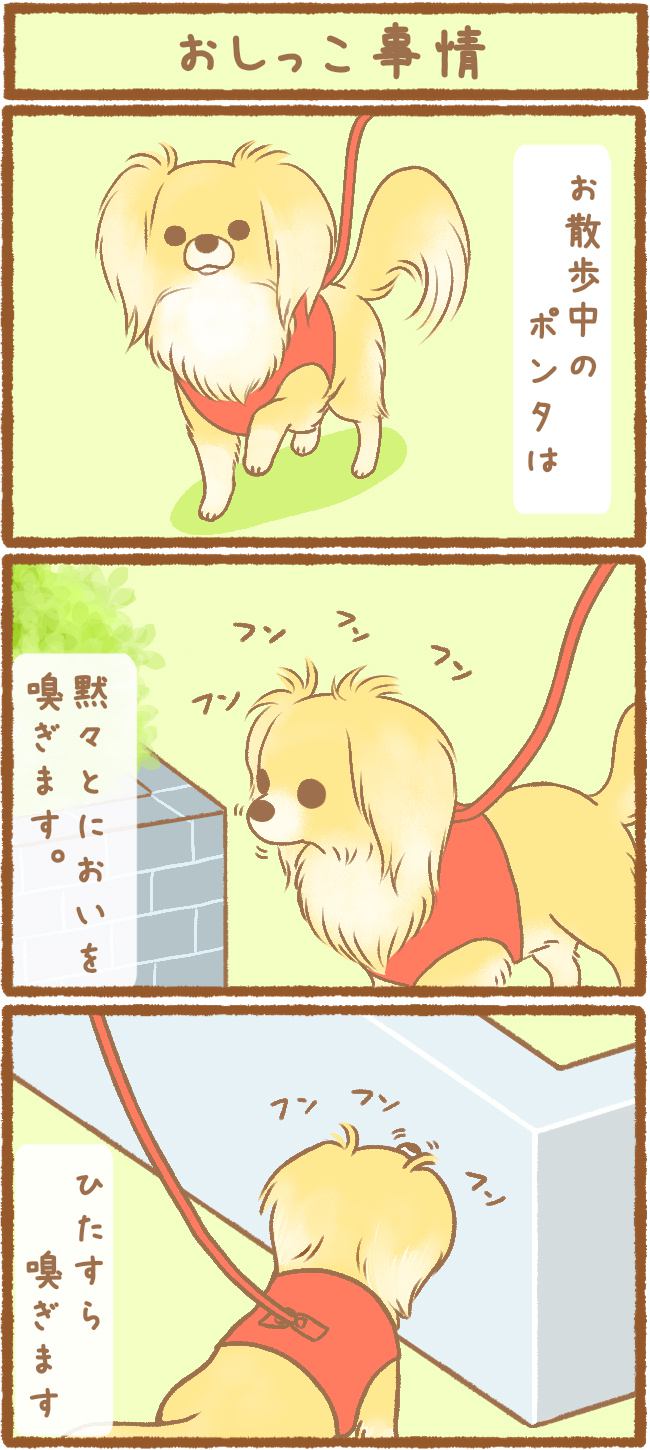 ただの犬好きです。第21話 おしっこ事情1