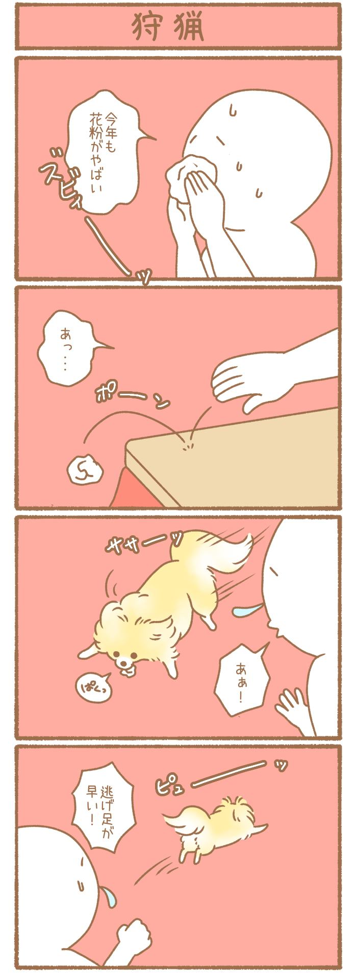 ただの犬好きです。【第253話】