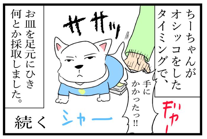 ちーちゃんですけどもっ【第137話】